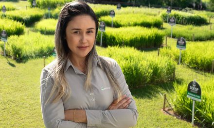 Semeando igualdade: jornada das mulheres no agronegócio