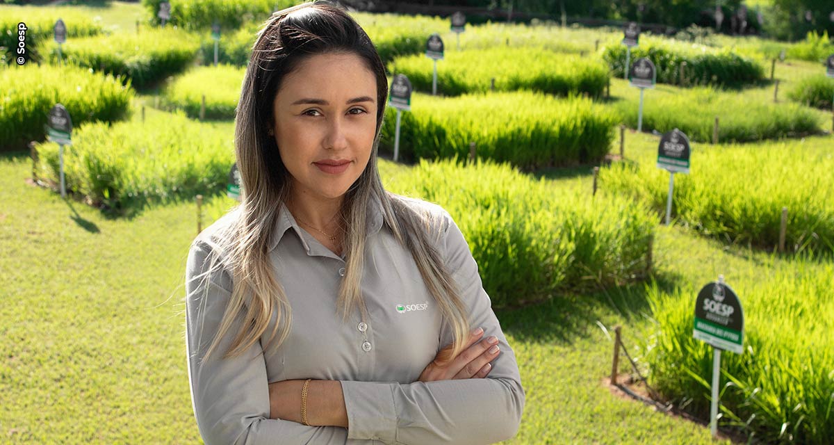 Semeando igualdade: jornada das mulheres no agronegócio