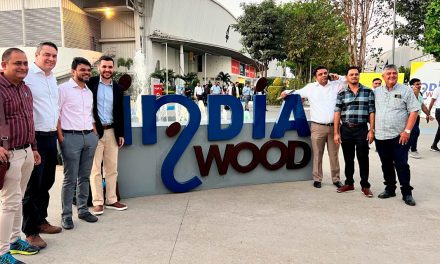 A expansão do mercado de madeira da Índia e as oportunidades para exportadores brasileiros