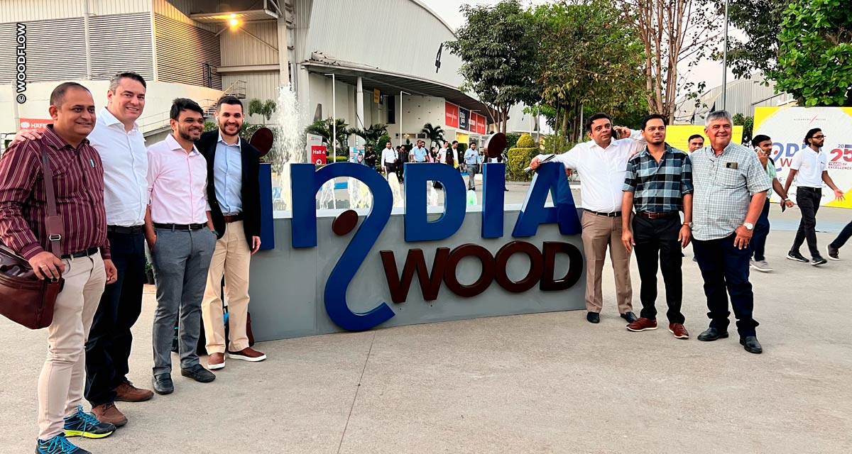 A expansão do mercado de madeira da Índia e as oportunidades para exportadores brasileiros