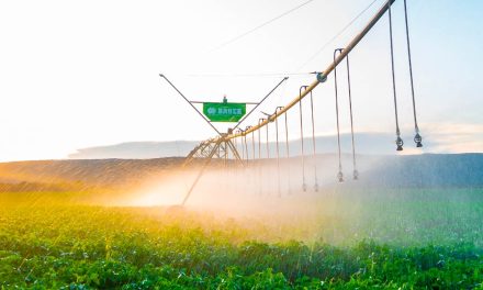 Bauer do Brasil e Irricontrol apresentam tecnologia de irrigação na FEMEC 2024