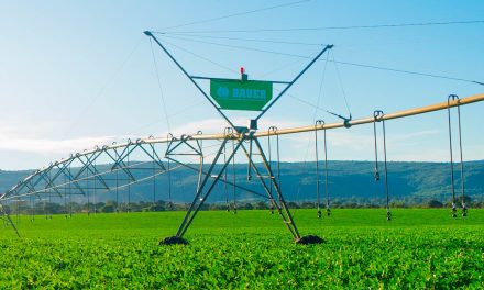 Inovação Agrícola e Pecuária Sustentável: Destaques da AGRO360TOCANTINS