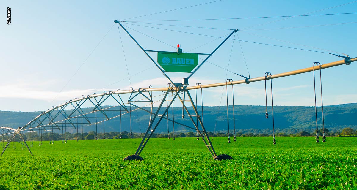 Inovação Agrícola e Pecuária Sustentável: Destaques da AGRO360TOCANTINS