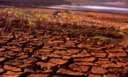 Previsão de La Niña leva empresas a analisarem mudanças no cronograma de escoamento de produtos das regiões Norte e Centro-Oeste do Brasil