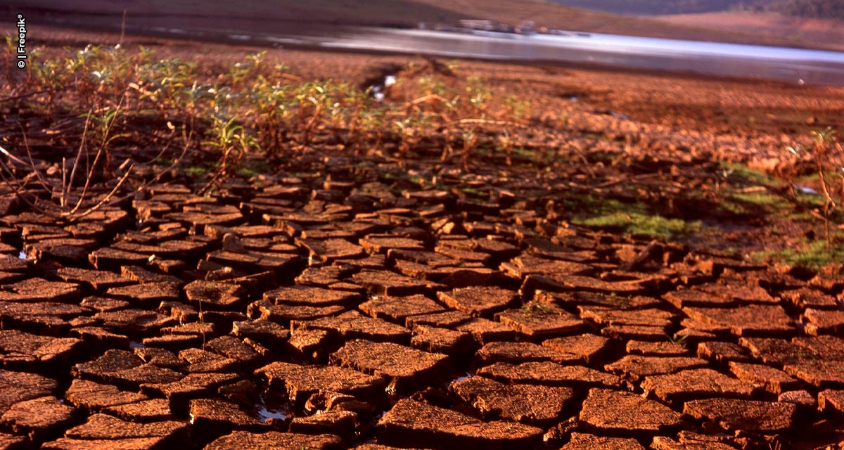 Previsão de La Niña leva empresas a analisarem mudanças no cronograma de escoamento de produtos das regiões Norte e Centro-Oeste do Brasil