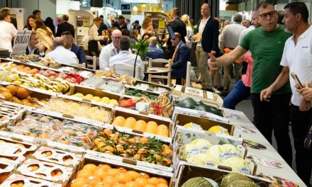 Fruit Attraction atrai vinda de expositores  de quatro continentes ao Brasil