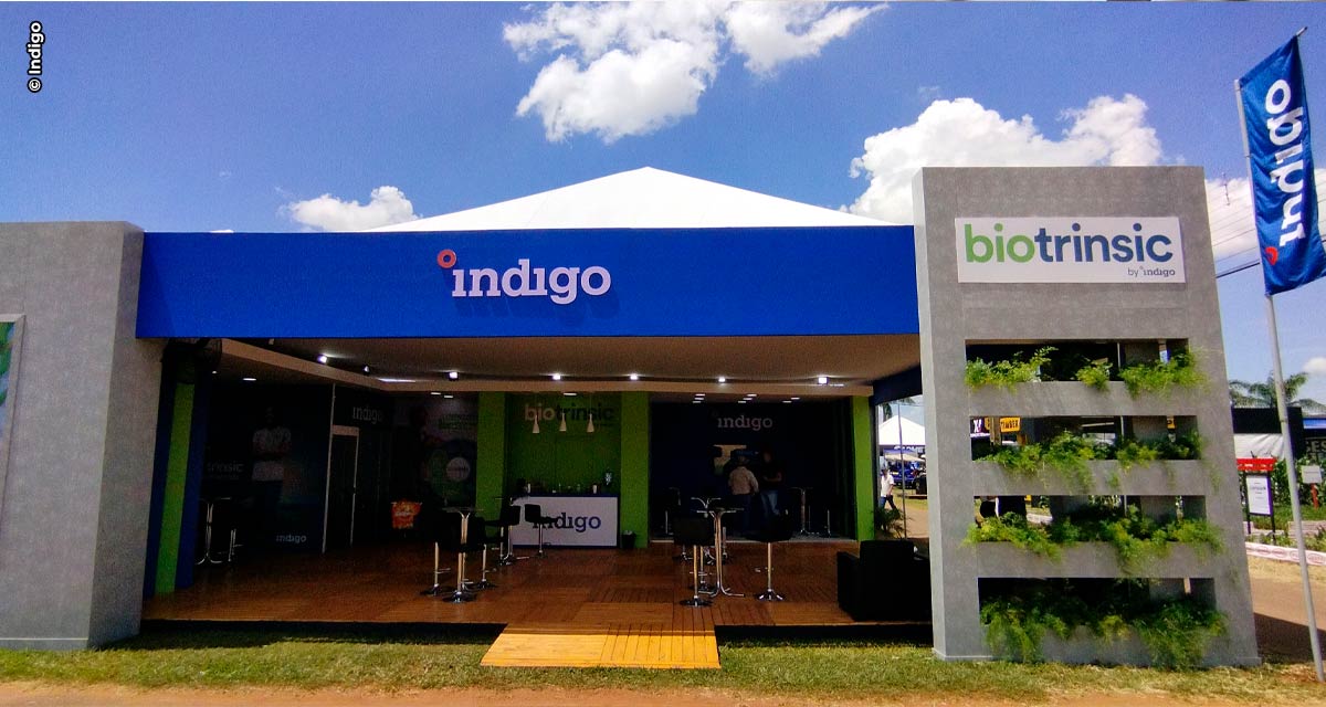 Indigo destaca inovações em biotecnologia na Tecnoshow Comigo, em Rio Verde (GO)