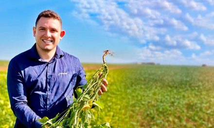 Irrigação por gotejamento subterrâneo: uma solução revolucionária para uma produção de soja ainda mais sustentável