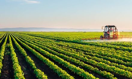 Empresa de nutrição de folhas e solo investe em revendas e bate recorde em faturamento com  R$ 179 milhões em 2023