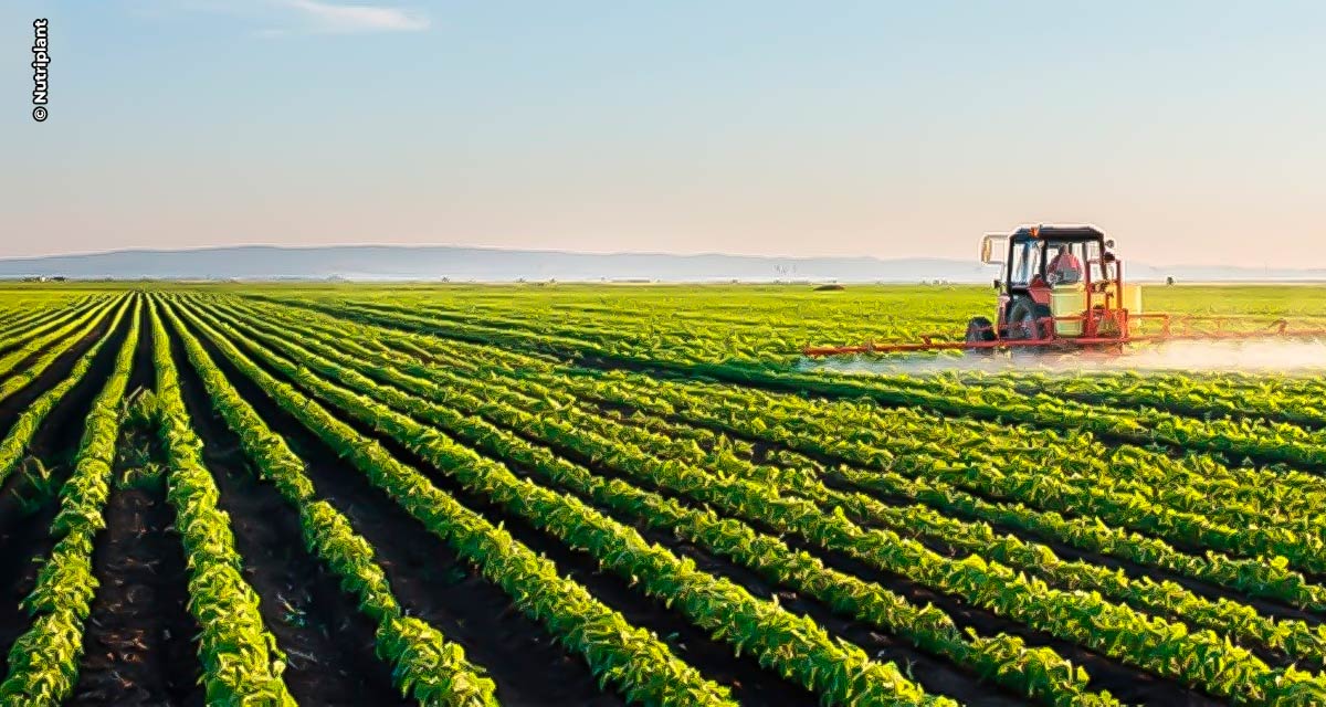 Empresa de nutrição de folhas e solo investe em revendas e bate recorde em faturamento com  R$ 179 milhões em 2023