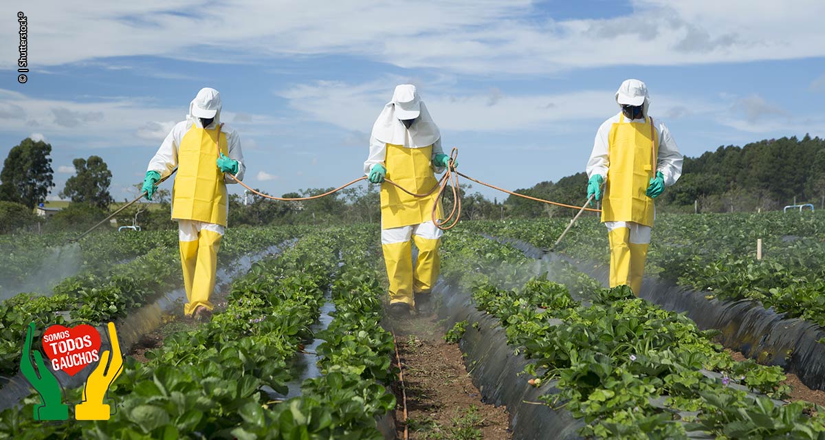 Produtores de hortaliças e frutas precisam se atentar ao uso correto de defensivos