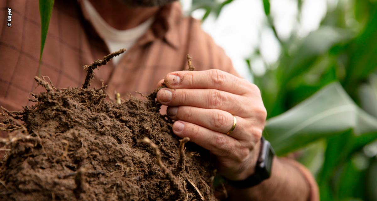 Bayer lança solução com IA para recomendar manejos focados em carbono no solo e na redução das emissões de CO2