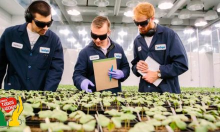 Great Place to Work: Startup Indigo Agricultura entre as melhores para se trabalhar no Brasil