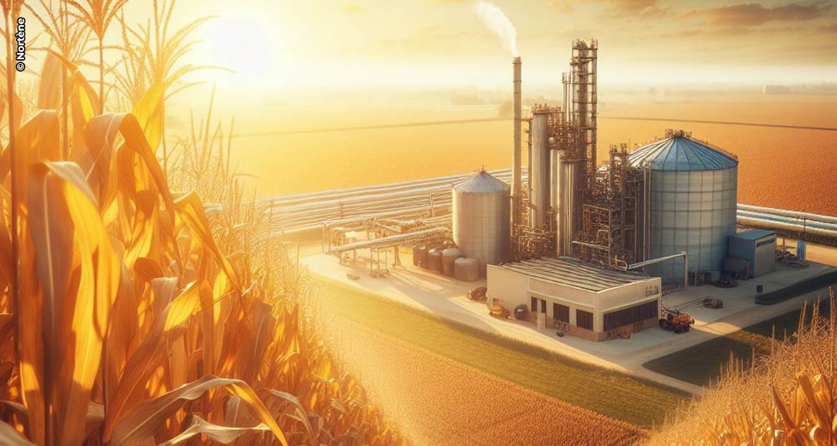 Para etanol de milho avançar ainda mais, é preciso ter estratégia de armazenagem