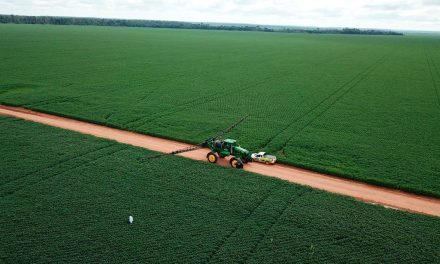 Nutrição vegetal: tendências para a construção do ambiente produtivo no agro