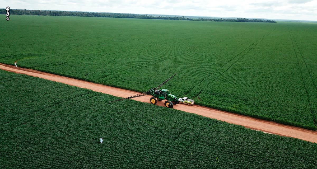 Nutrição vegetal: tendências para a construção do ambiente produtivo no agro