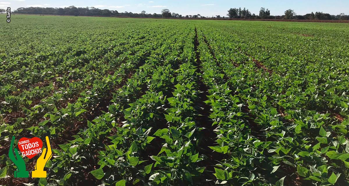 Satis leva para AgroBrasília soluções para o período de transição da safra