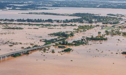 Estudo revela que a agricultura do Rio Grande do Sul já soma prejuízo acima de R$ 423 milhões