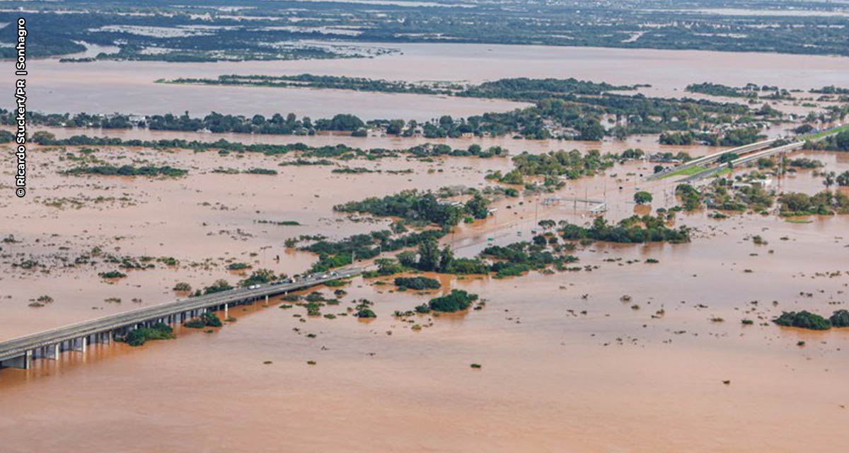 Estudo revela que a agricultura do Rio Grande do Sul já soma prejuízo acima de R$ 423 milhões