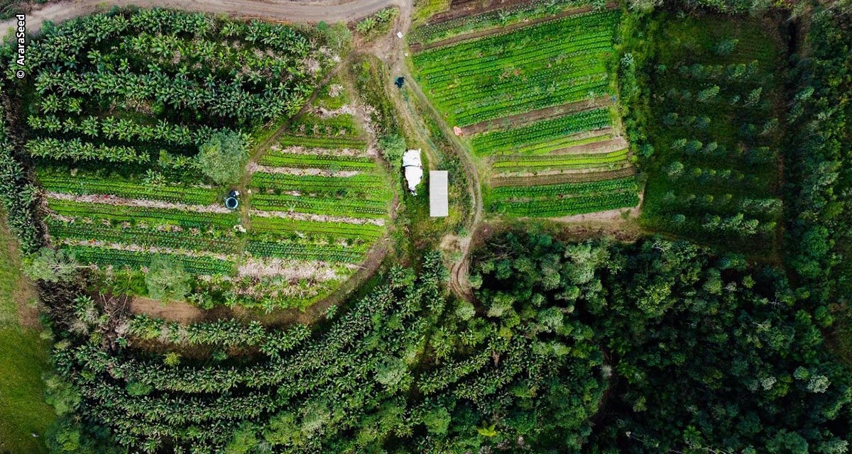 Investimentos em climate techs cresce 37,9%; Especialista afirma que Brasil pode ser um dos principais exportadores de tecnologia climática