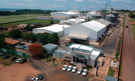 Sementes Goiás completa 25 anos com o olhar para o futuro