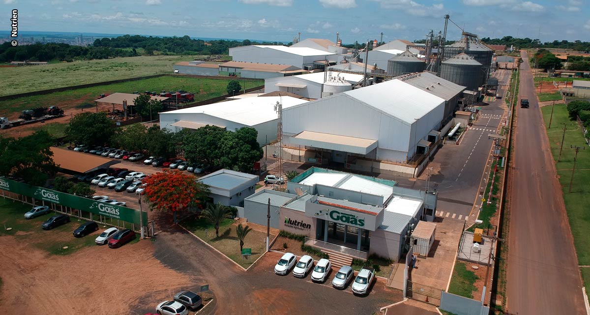 Sementes Goiás completa 25 anos com o olhar para o futuro