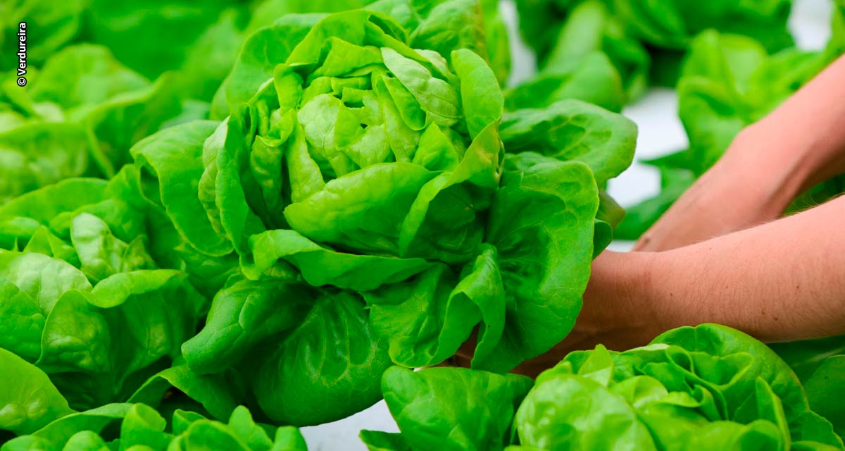 Como a nanotecnologia é usada no Agronegócio?