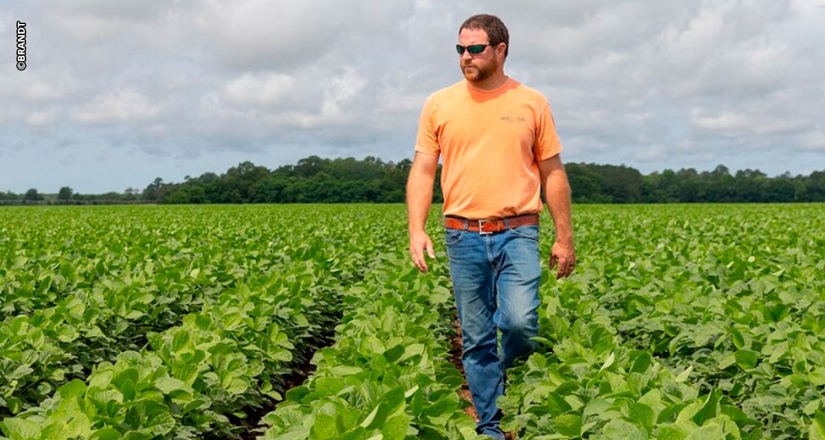 Norte-americano recordista mundial em produtividade de soja adota estratégias intensivas de nutrição na lavoura