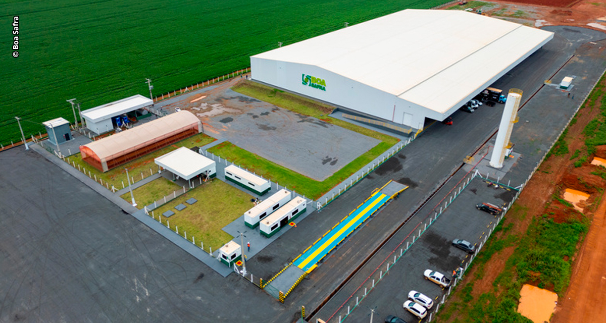 Boa Safra expande atuação e investimentos em Mato Grosso