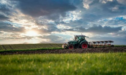 Governo de SP bate recorde de quase meio bilhão em crédito para o agro em 2023 e 2024