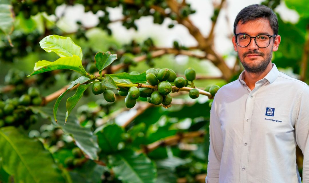 Fertirrigação mitiga impactos climáticos e aumenta produtividade do cafezal