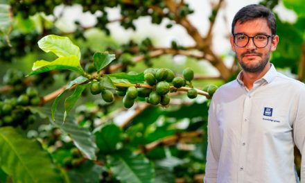 Fertirrigação mitiga impactos climáticos e aumenta produtividade do cafezal