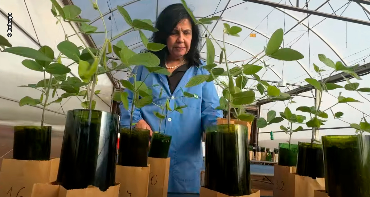 ABAG comemora indicação de cientista brasileira ao “Nobel da Agricultura”