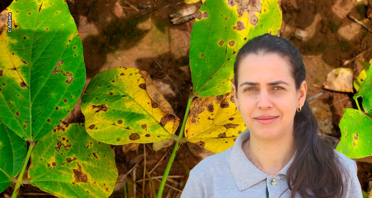 Com a podridão-de-grãos em segundo plano, mancha-alvo e cercospora se tornam os principais desafios do sojicultor, segundo Fundação Rio Verde