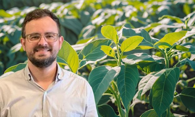 Por que os fertilizantes foliares de suspensão concentrada são tecnologias premium na nutrição dos cultivos?