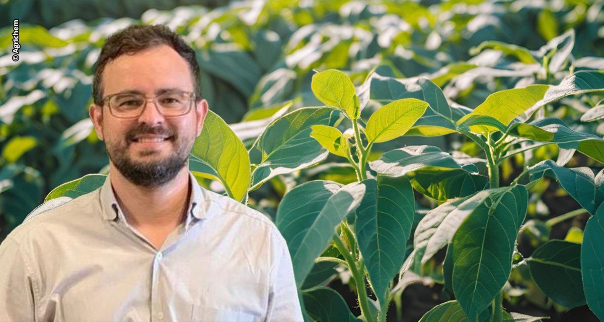 Por que os fertilizantes foliares de suspensão concentrada são tecnologias premium na nutrição dos cultivos?