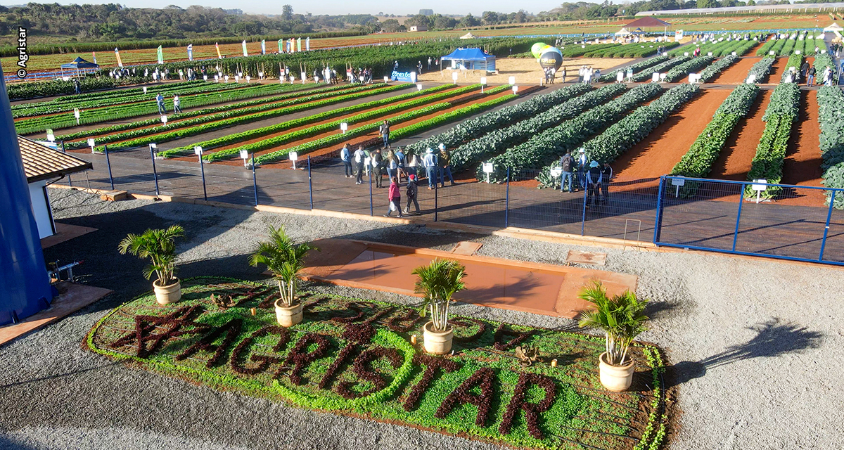 Inovação e experiência a campo marcam a 19ª edição do Open Field Day