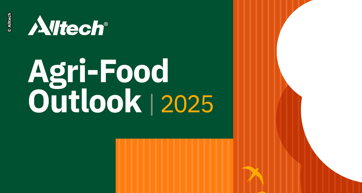 Produção de ração no Brasil cresce 2,4% em 2024, o dobro do índice global