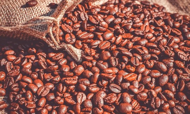 Rastreabilidade se torna ferramenta estratégica para produtoras rurais replicarem boas práticas no agronegócio