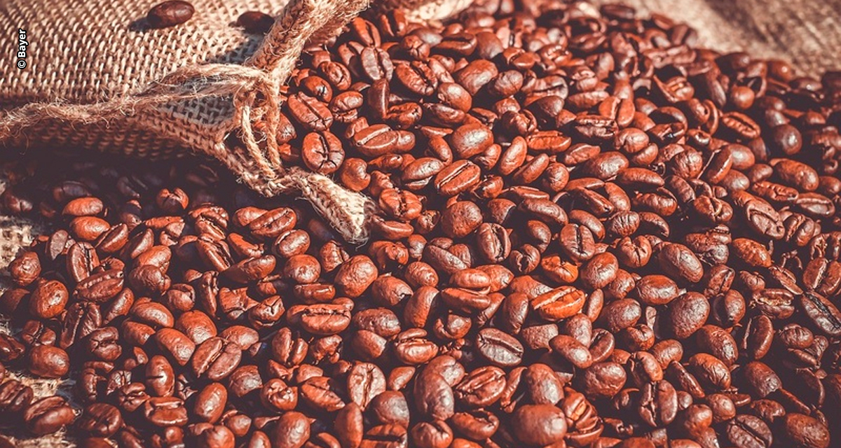 Rastreabilidade se torna ferramenta estratégica para produtoras rurais replicarem boas práticas no agronegócio