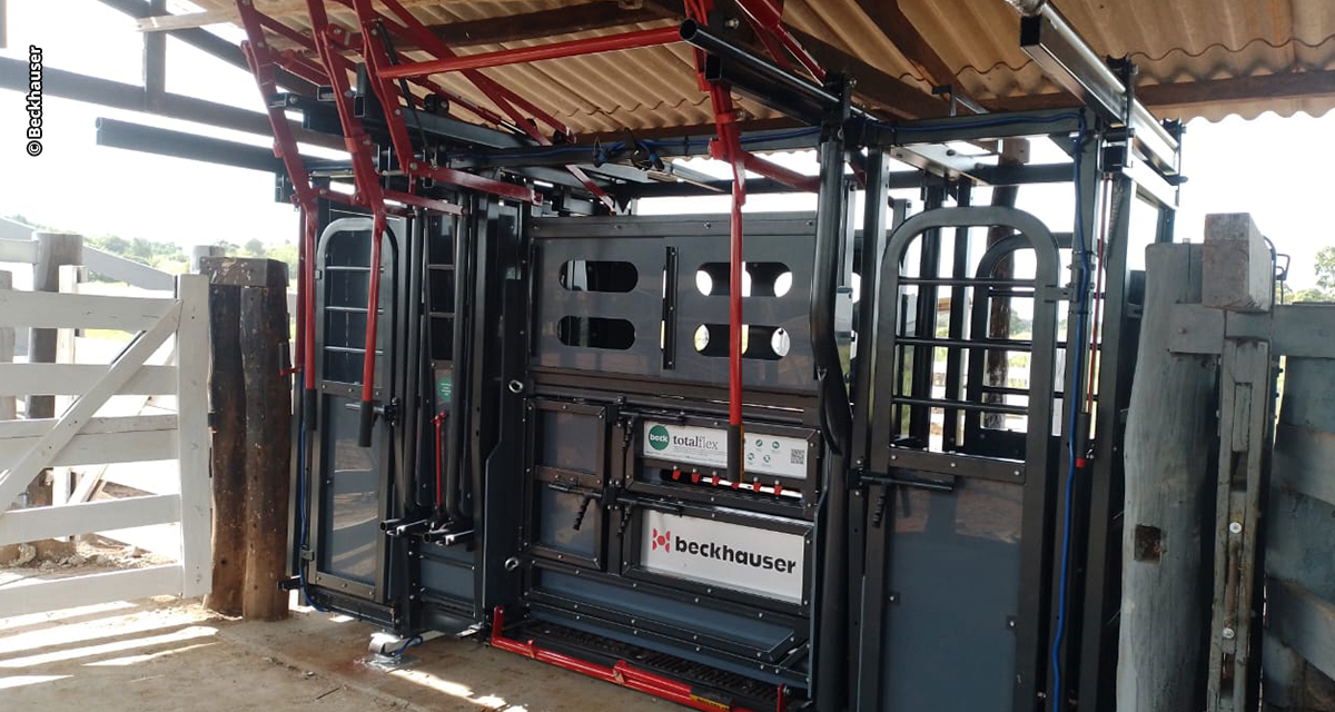 Escolha de equipamento de contenção bovina começa com o entendimento das necessidades do pecuarista e da fazenda