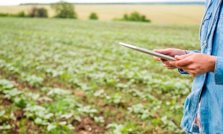 IR 2025: contabilidade no campo é chave para evitar autuações e acessar crédito
