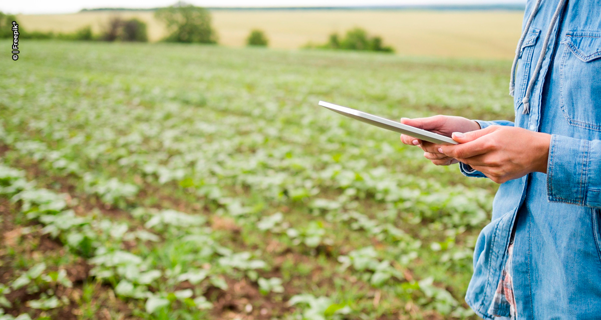 IR 2025: contabilidade no campo é chave para evitar autuações e acessar crédito