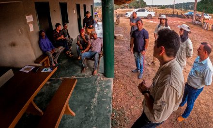 Pequenos e médios produtores rurais também podem lucrar com créditos de carbono