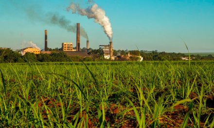CTC registra lucro recorde de R$ 175,7 milhões na safra 2024/25 e amplia investimentos em inovação