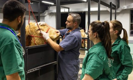 Bahia poderá receber nova unidade de Escola de Agronegócio
