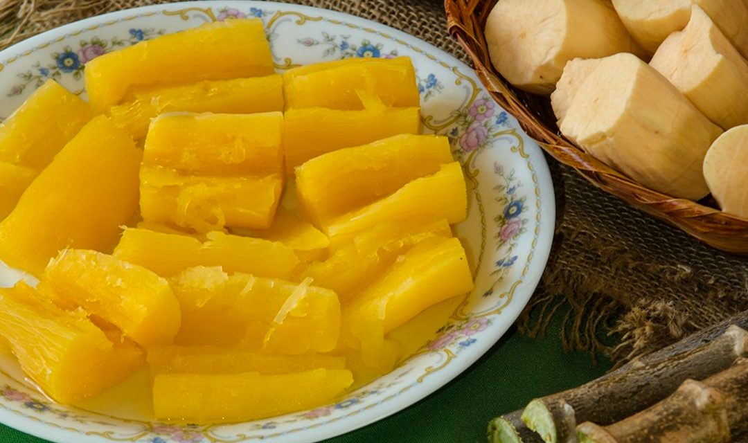 Mandioca no Cerrado: inovação que alimenta e gera renda