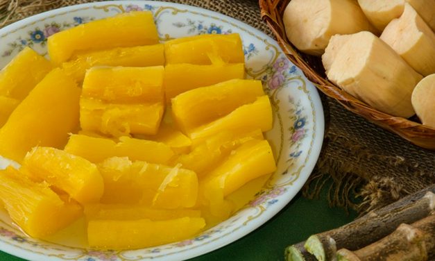 Mandioca no Cerrado: inovação que alimenta e gera renda