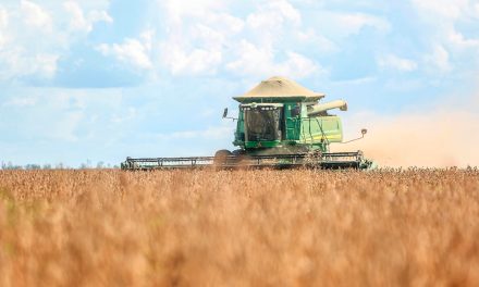Condições climáticas favoráveis e avanços tecnológicos contribuíram para safra recorde de soja