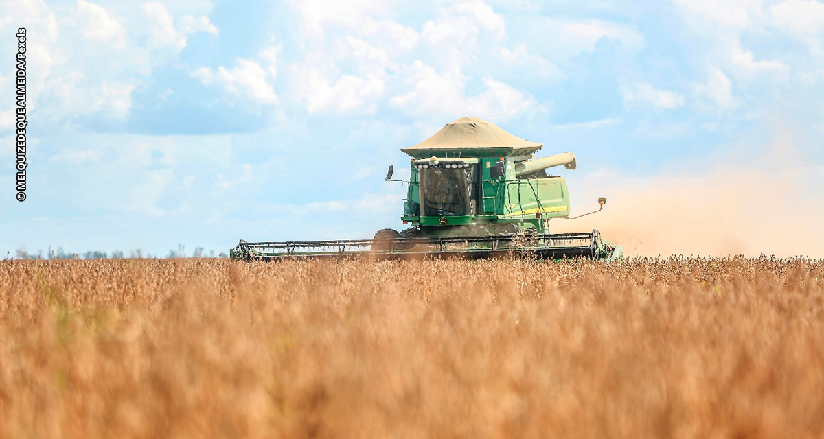 Condições climáticas favoráveis e avanços tecnológicos contribuíram para safra recorde de soja